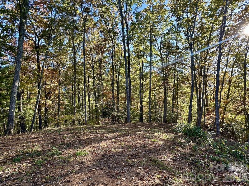 534 Cicada Dr, Maggie Valley, NC 28751