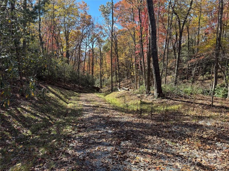 00 Normcol Rd, Pisgah Forest, NC 28768