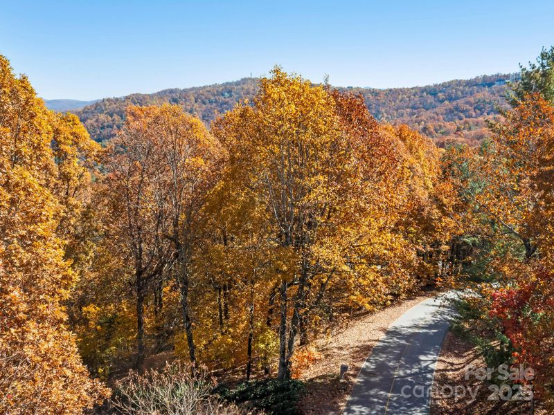 707 Overlook Dr, Flat Rock, NC 28731