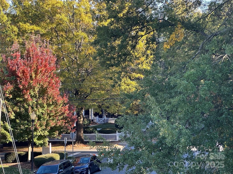 212 E Park Ave, Charlotte, NC 28203