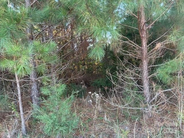 00 Edwards Rd, Fort Lawn, SC 29714