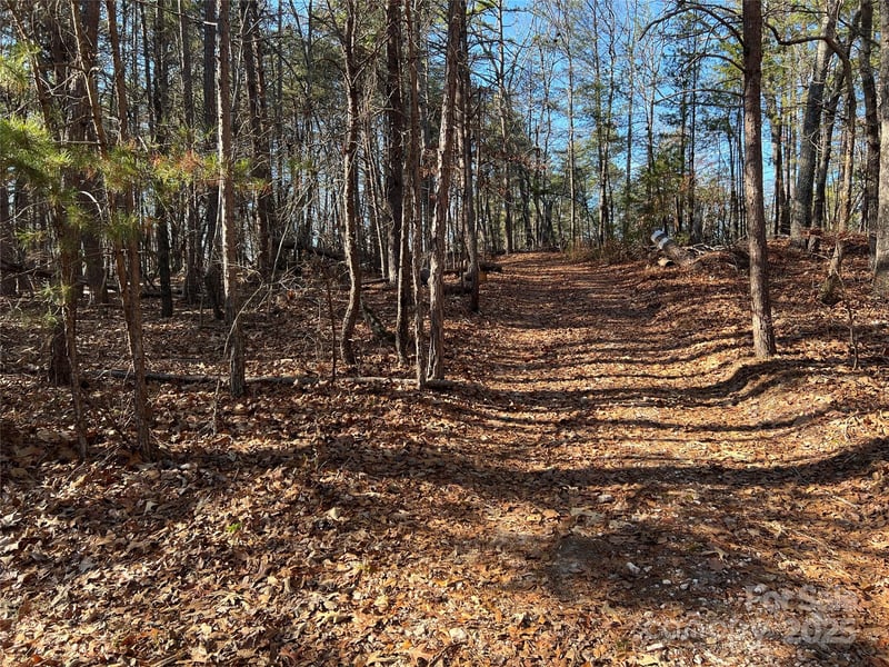 00 Old Seine Rd, Smyrna, SC 29743