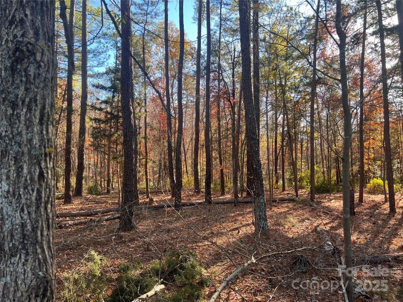 TBD Steele Rd #5, Waxhaw, NC 28173