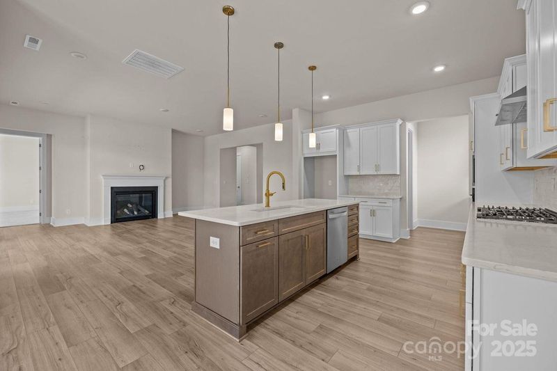 1189 Pinecone Ave, Indian Land, SC 29707