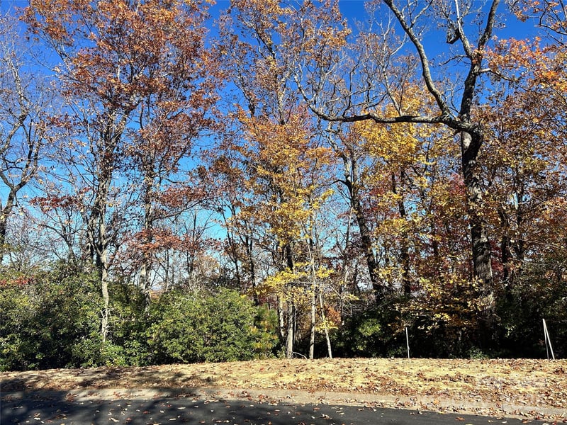1114 Mills River Way, Horse Shoe, NC 28742