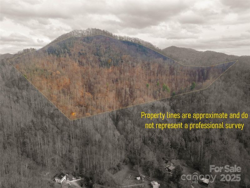 0 Grapevine Rd, Marshall, NC 28753