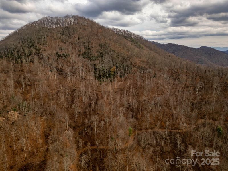 0 Grapevine Rd, Marshall, NC 28753