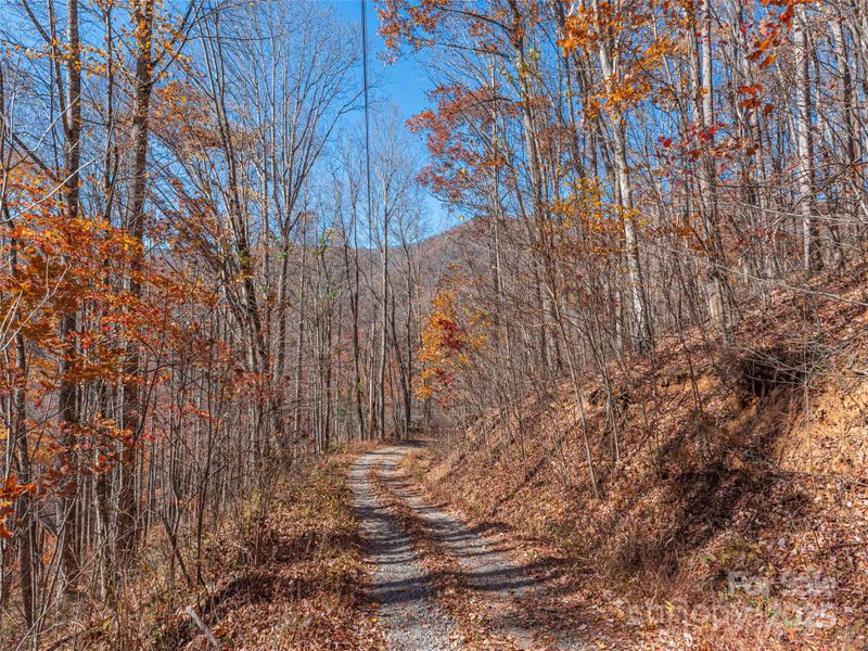 112 - 113 Grouse Rd, Clyde, NC 28721