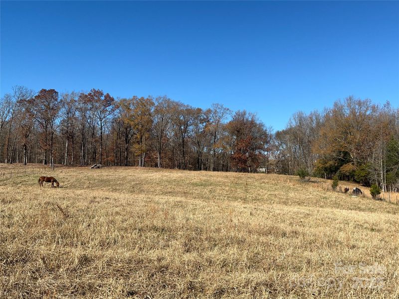 0 Misty Pond Rd, Marshville, NC 28103