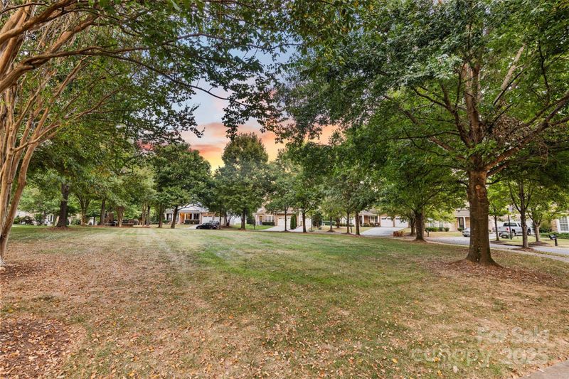 3005 Misty Moss Ct, Waxhaw, NC 28173