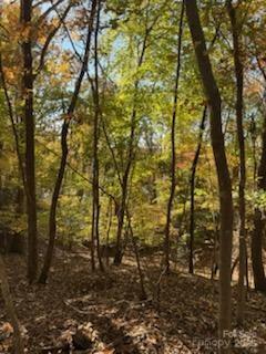 300 Rivercliff Dr, Stony Point, NC 28678