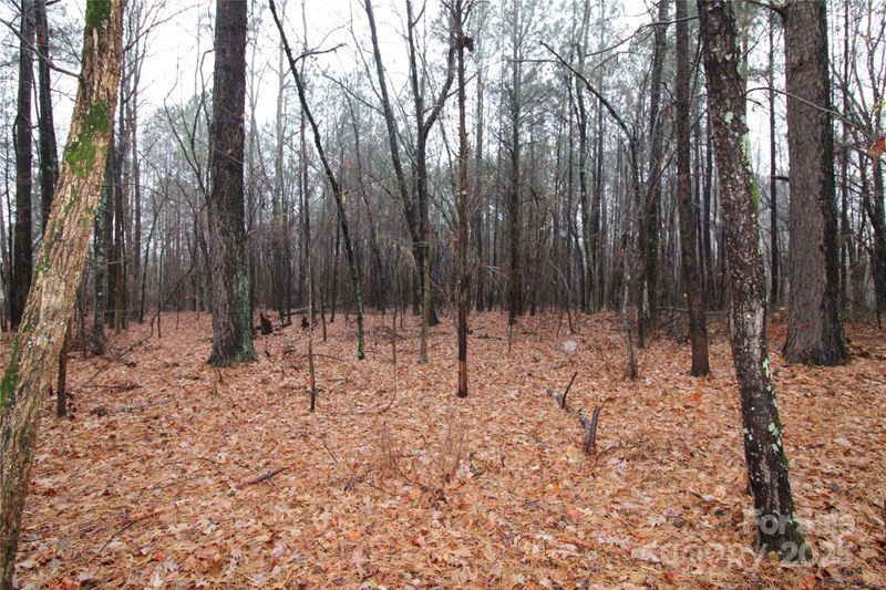 0 Neal Rd LOT 5, Bessemer City, NC 28016
