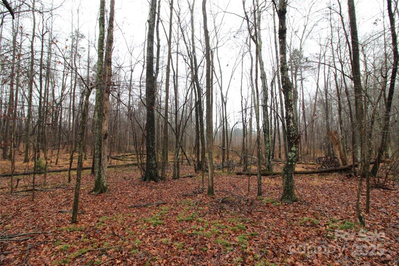 0 Eaker Rd LOT 3, Bessemer City, NC 28016