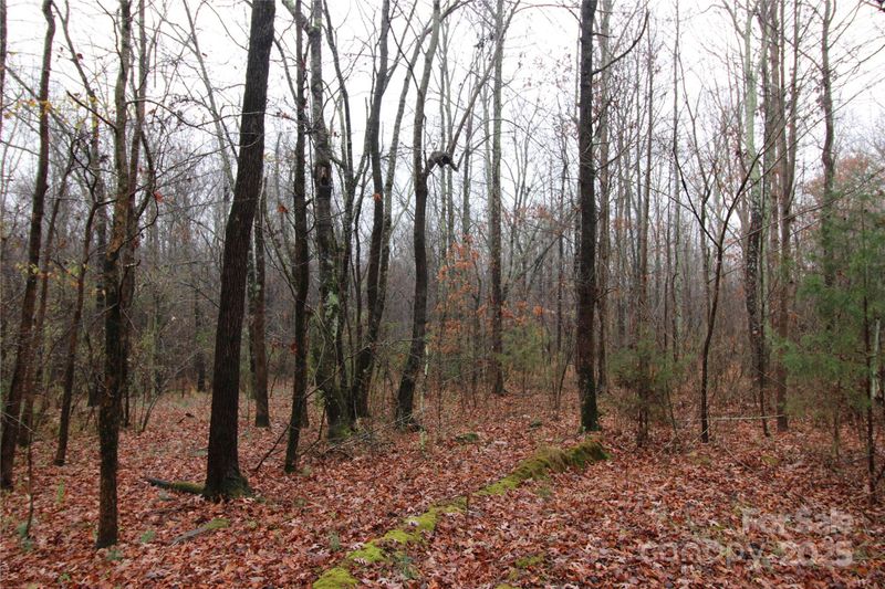 0 Eaker Rd LOT 8, Kings Mountain, NC 28086