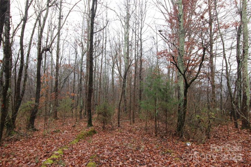 0 Eaker Rd LOT 8, Kings Mountain, NC 28086