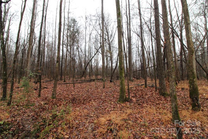 0 Eaker Rd LOT 2, Bessemer City, NC 28016