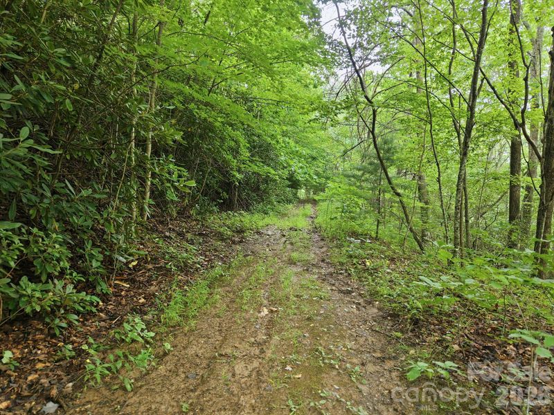 00 Seasons Dr Lot 43, Clyde, NC 28721