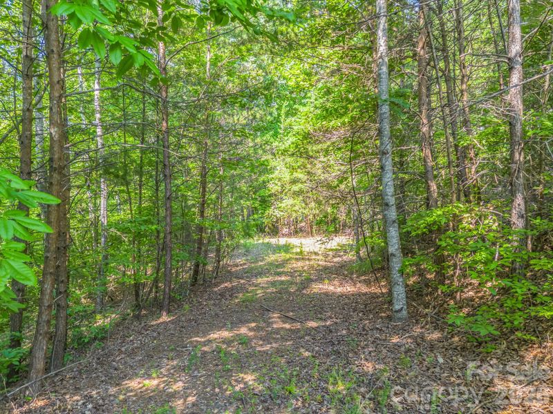 2 Jackson Cove Rd W, Mill Spring, NC 28756