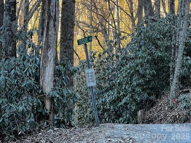 9999 Tessie Ln, Black Mountain, NC 28711
