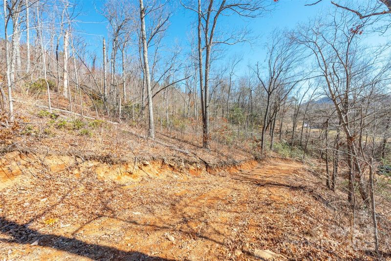 107 Bartram Way, Black Mountain, NC 28711