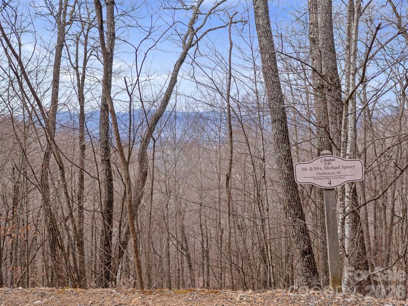 Lot 4 Heritage Ridge Loop, Burnsville, NC 28714