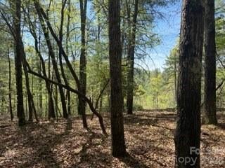 0 Green River Rd, Zirconia, NC 28790