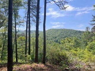 0 Green River Rd, Zirconia, NC 28790