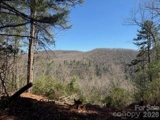 0 Green River Rd, Zirconia, NC 28790