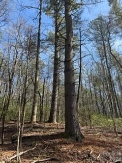 0 Green River Rd, Zirconia, NC 28790