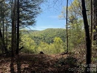 0 Green River Rd, Zirconia, NC 28790