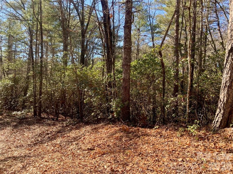 Lot 18 Oak Ridge Dr #18, Brevard, NC 28712
