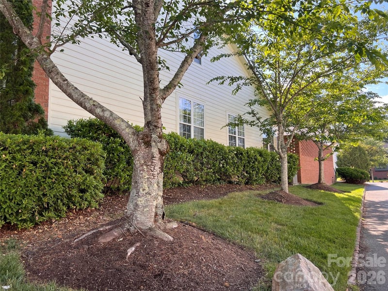 239 Twain Ave, Davidson, NC 28036