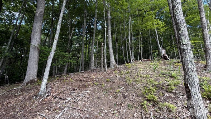 000 Fox Den Rd #109, Mars Hill, NC 28754
