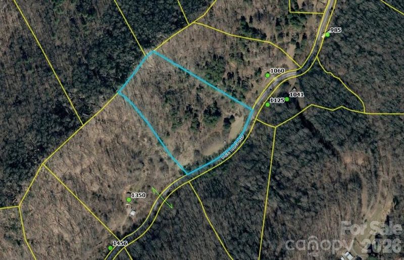 9999 Bee Log Rd, Burnsville, NC 28714