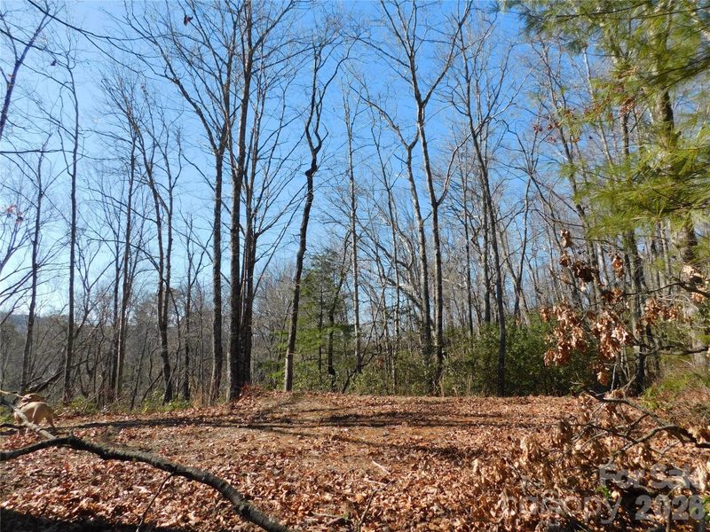 154 Laurel Thicket Dr #98, Brevard, NC 28712