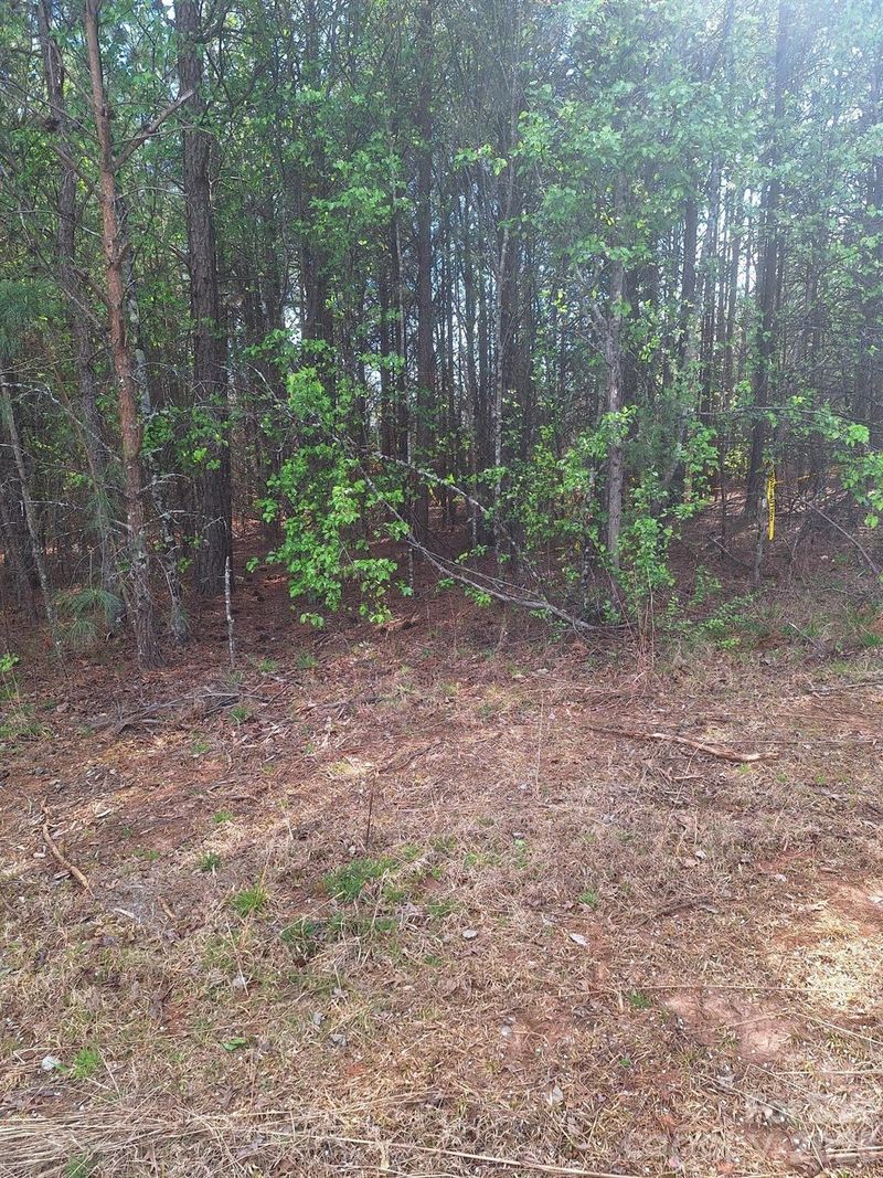 0 King Wilkinson Rd #2, Denver, NC 28037