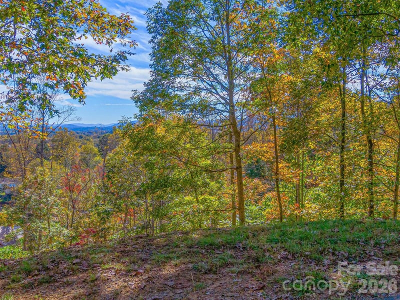 17 Denali Dr #V-108, Asheville, NC 28806