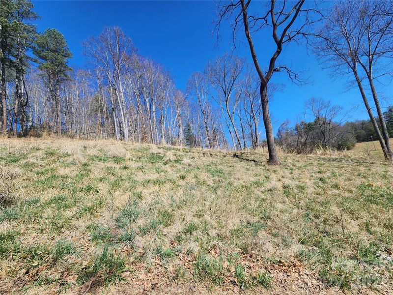 9999 Country Dr, Mars Hill, NC 28754