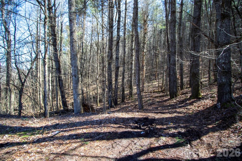 0000 Grapevine Rd, Marshall, NC 28753