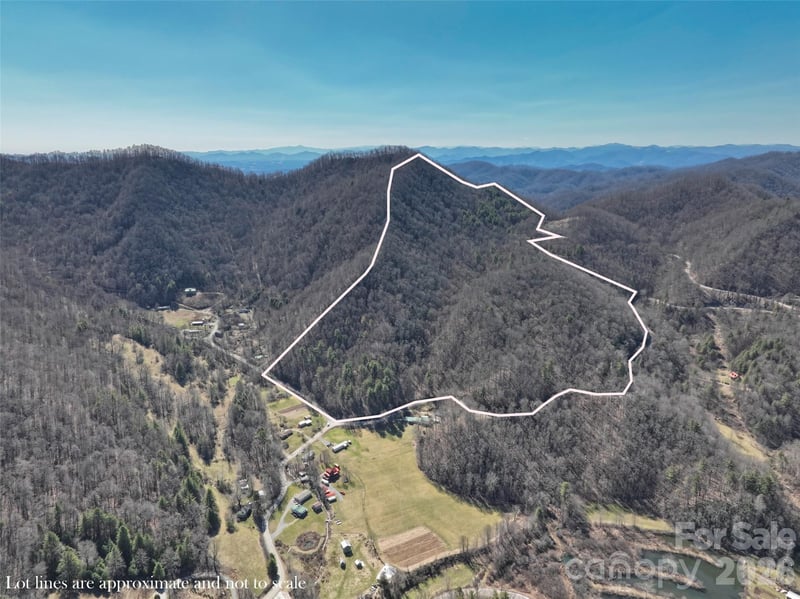 0000 Grapevine Rd, Marshall, NC 28753