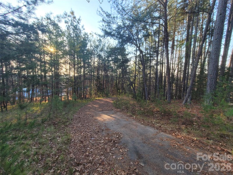 0 Cozy Ln #59, Lake Lure, NC 28139