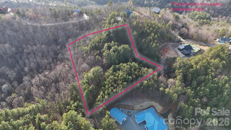 0 Cozy Ln #59, Lake Lure, NC 28139