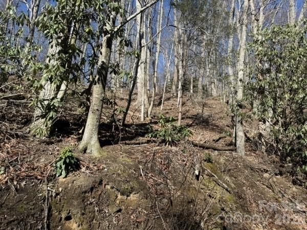 1237 Hickory Acres Rd, Hendersonville, NC 28792