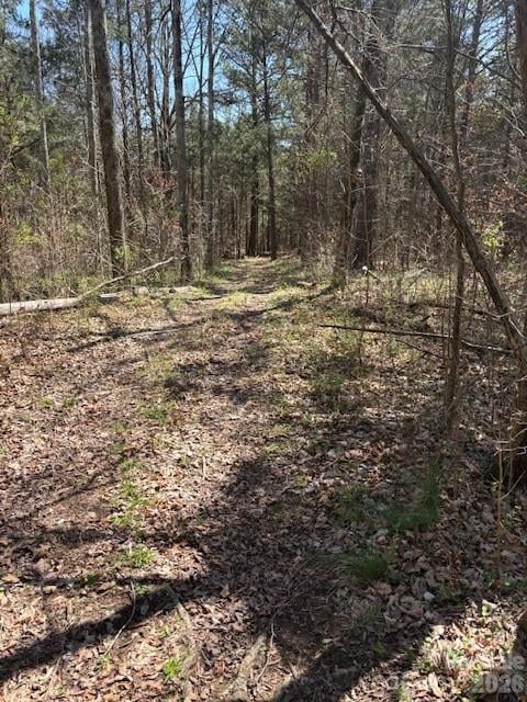 7350 Paul Linker Pl, Concord, NC 28025
