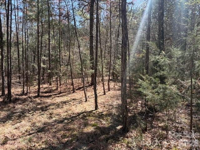 7350 Paul Linker Pl, Concord, NC 28025