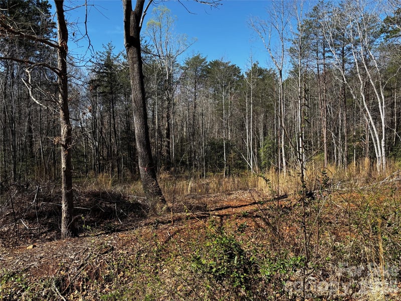 1467 Graycrest Dr, Catawba, NC 28609