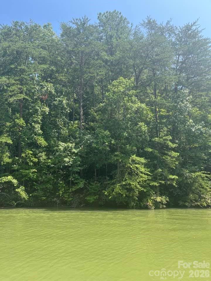 00 Canoe Dr #44, Mill Spring, NC 28756