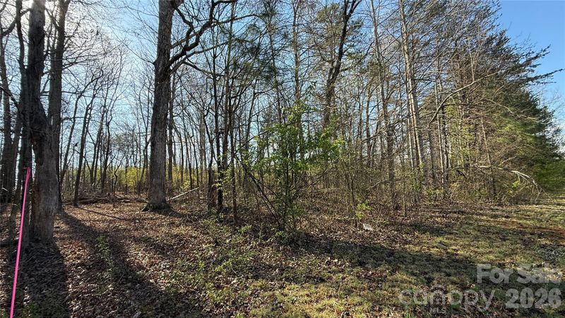 1361 Zeb Haynes Rd #3, Maiden, NC 28650