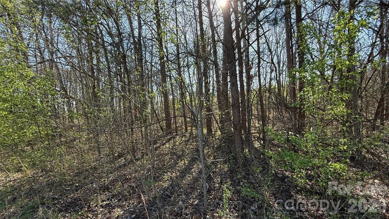 1367 Zeb Haynes Rd, Maiden, NC 28650
