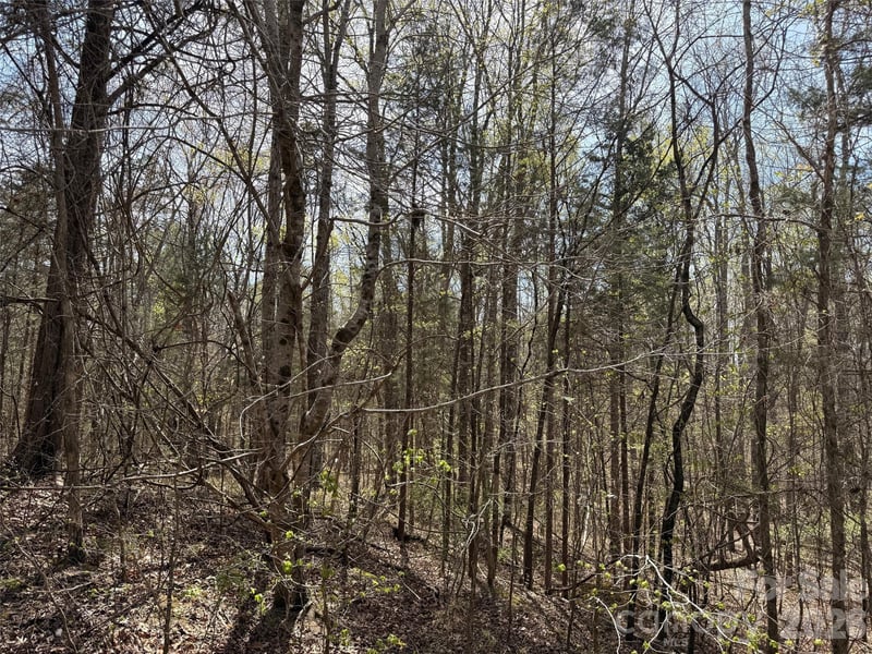 6223 Twining Vine Ct, Kannapolis, NC 28081
